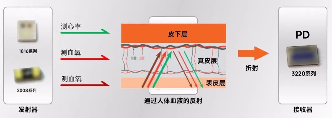 國星光電推出第四代智能健康感測新方案